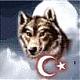 Bogachan - ait Kullanıcı Resmi (Avatar) Bogachan - ait Kullanıcı Resmi (Avatar)
