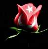 rasimm - ait Kullanıcı Resmi (Avatar) rasimm - ait Kullanıcı Resmi (Avatar)