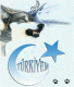 mavi_hilal - ait Kullanıcı Resmi (Avatar) mavi_hilal - ait Kullanıcı Resmi (Avatar)